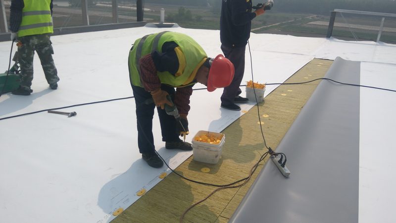 js防水涂料生产厂家哪家好